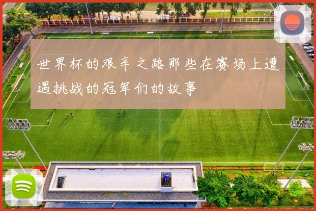 世界杯的艰辛之路那些在赛场上遭遇挑战的冠军们的故事