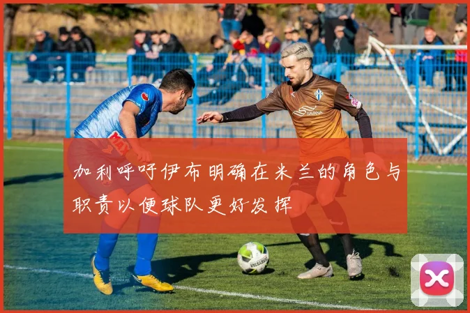 加利呼吁伊布明确在米兰的角色与职责以便球队更好发挥