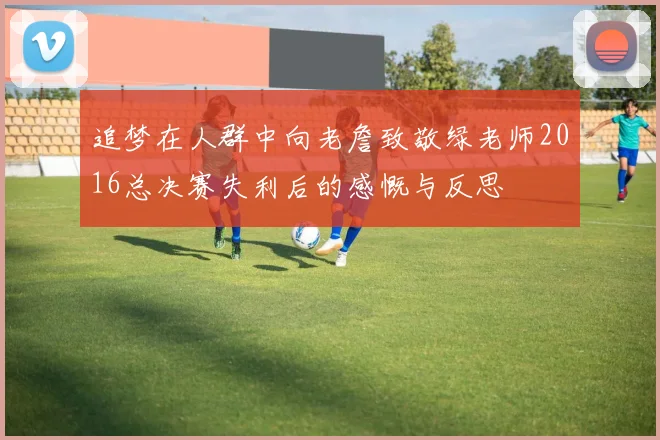 追梦在人群中向老詹致敬绿老师2016总决赛失利后的感慨与反思