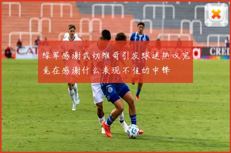 绿军感谢武切维奇引发球迷热议究竟在感谢什么表现不佳的中锋