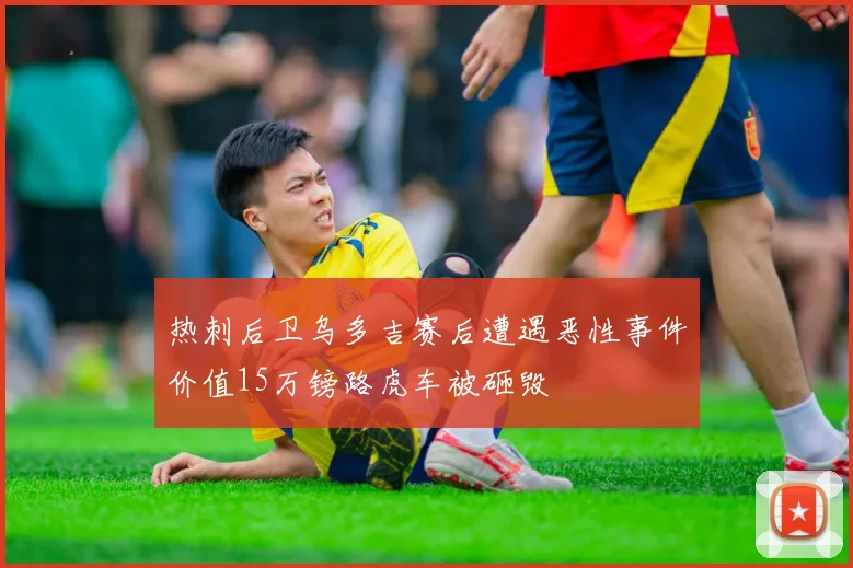 热刺后卫乌多吉赛后遭遇恶性事件价值15万镑路虎车被砸毁